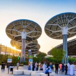 UAE: Businesses are Urged to Prioritise Climate Action over Profits