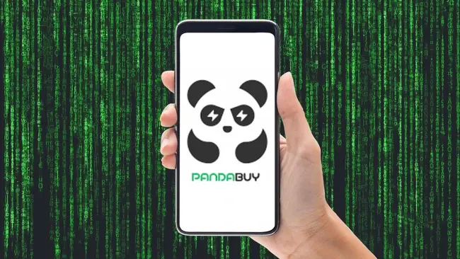pandabuy-data-breach.jpg
