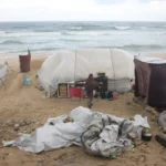 c5037d2b-a072-4d26-8d99-e6f78966e254