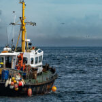 riso867h6cs5shwdsvirf42zod2sdpxg