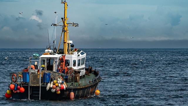 riso867h6cs5shwdsvirf42zod2sdpxg