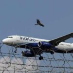 645729_4186681_updates