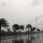 852dffc9-2391-4499-9860-e672ce3c9567