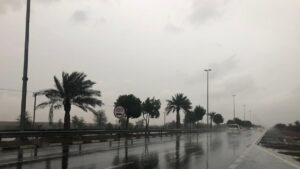 852dffc9-2391-4499-9860-e672ce3c9567