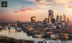 international investors