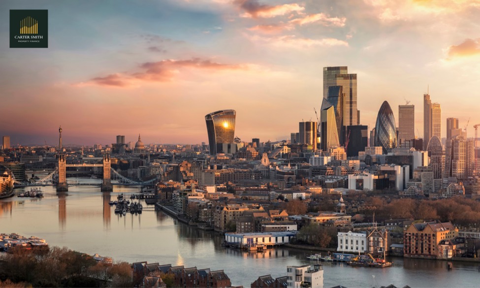 international investors