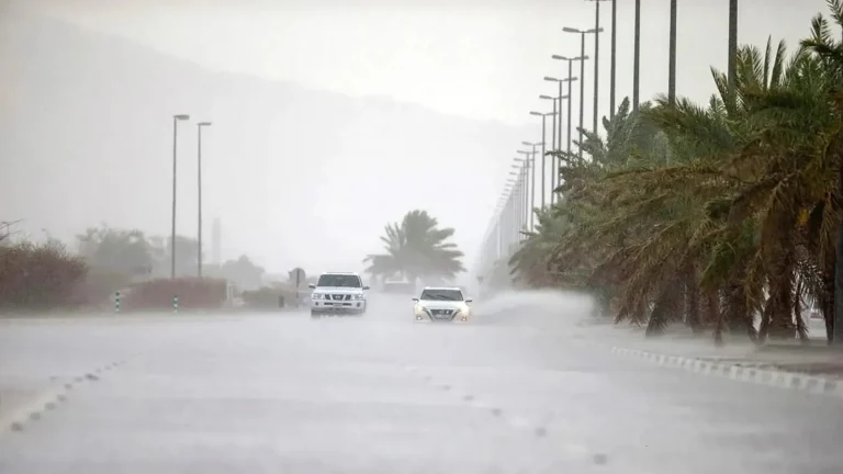 Unstable weather with rain expected across UAE until March 15