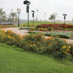 gulfnews_2026-02-08_djmgintj_dibba-1