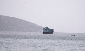 Untitled_1