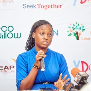 Top 10 Visionary Leaders Quietly Making Waves Olamide Esther Asaluwala - top 10 visionary leaders