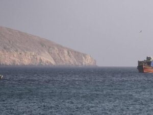 images (7)
