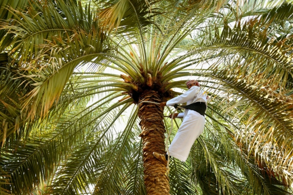 united-arab-emirates-1